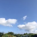 새우리농장 이미지