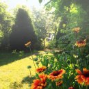 밤나무계곡민박 이미지