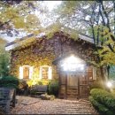 숲속의 섬 이미지