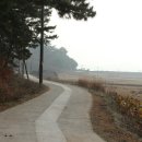 가야3리 이미지