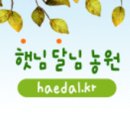 햇님달님농원