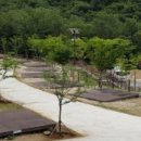 금화마트 이미지