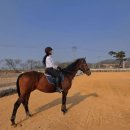 프리미어아레나승마클럽 이미지