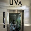 UVA 성수