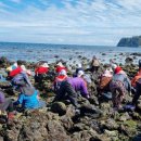 법환 어촌계 이미지