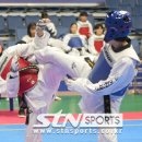 도원태권도체육관 이미지