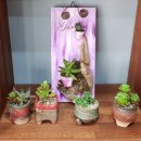 달성토성마을 협동조합 이미지