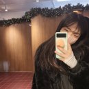 모노맨션전포