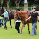 치유하다 이미지