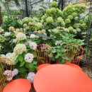 세계자동차&피아노박물관 이미지