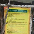 정선아기동물농장 이미지