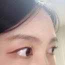 살롱드브로우