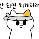 키딕 네이버블로그
