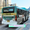 관양중학교_서 이미지