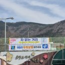 호계3동행정복지센터_하 | 진해벚꽃명소 여좌천 - 뚜벅이가는법 주차 먹거리 관람소요시간