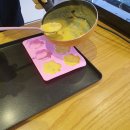 펫푸드스쿨 이미지