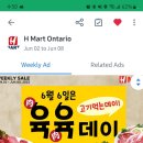 H Mart 육육데이 광고 이미지