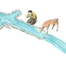 생수의강 이미지