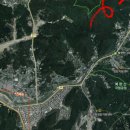 닥터송칼라덴트