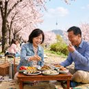 강구종합정비 | 🍓 2026년 3월 여행지 추천! 입안 가득 봄이 오는 '전국 음식 축제 BEST 7' 총정리 🦀