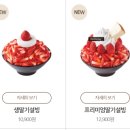 민트초코충주