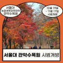 원당리~생태식물원 소나무 가로수 | [경기도안양] 서울대 관악수목원 24.10.19~11.17시범개방/안양비개방학교수목원/경기도단풍명소/안양...
