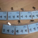 창덕여고운동장 이미지