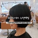 헤어샵아름다워 | 수원역 미용실 '헤어다이아 헤어샵' 보브컷 단발 볼륨매직 후기