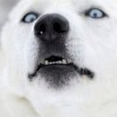 비치식당 이미지