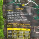 영인산 철쭉 축제 &#34;감탄이 절로 나는 철쭉 군락지&#34;