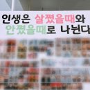 비비핏