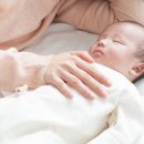 고운교육