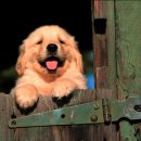 작은천국 이미지