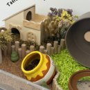 패러그린샵 동래점 이미지