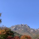 속리산 - 성남시 중원구 시민로117번길 2 | 속리산
