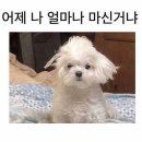 하은목장 | 마지막 방학을 보내며...