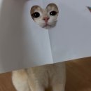 행운상사