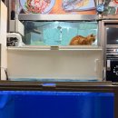 청파제1경로당 | 제주도 구좌 고등어회 맛집 청파식당횟집 내돈내산 솔직후기