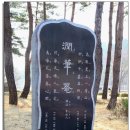 용문산 둥지 이미지