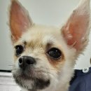 당곡초등학교 이미지