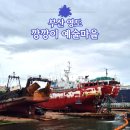 엔진마을 | 부산 조선 산업의 역사 깡깡이 예술 마을 박물관 수리조선소