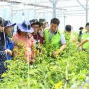 로타리마트 이미지