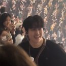 Welcome | 데이식스 &lt;welcome to the show&gt; 벚꽃콘 후기(부제: 밴드는 처음이라.)