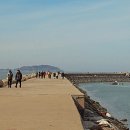 방파제 낚시 편의점 이미지