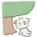 둥둥펫살롱 이미지