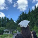 애향로 L | 8월 제주도 여행(feat.자매) - 남쪽 코스 추천