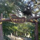 솔터힐링 숲체험원 공중화장실 | 전남 영광 물무산 행복 숲 맨발 황톳길