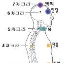 명상을 통한 진단﻿ - 차크라 명상 이미지