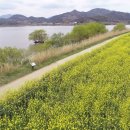 주남저수지 이미지