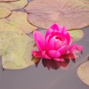 고남민박 이미지